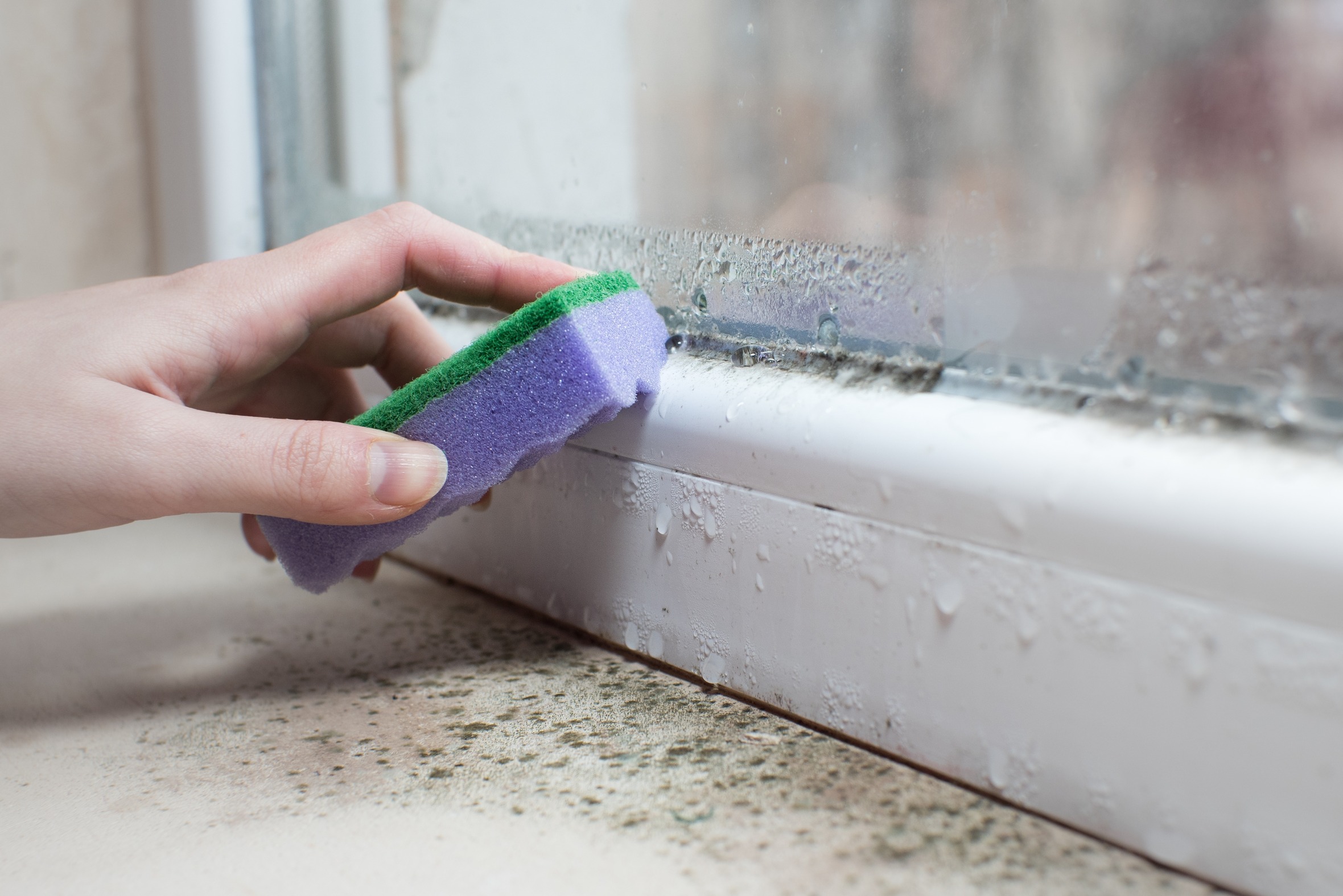 Managing mould in your home